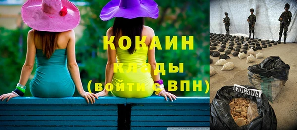 индика Навашино