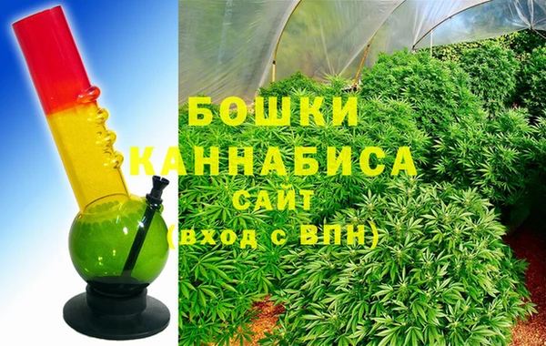 индика Навашино