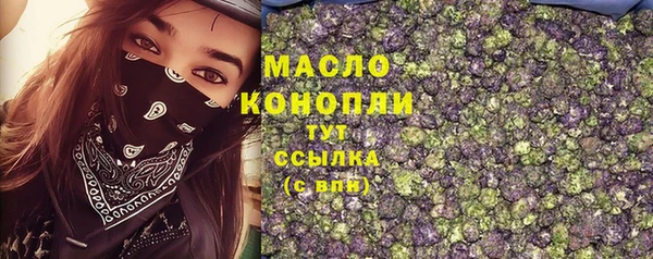 индика Навашино