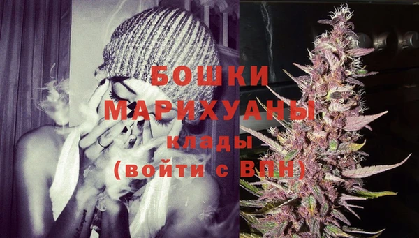 индика Навашино